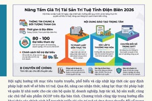 THÔNG TIN TỔNG HỢP KHOA HỌC CÔNG NGHỆ, ĐỔI MỚI SÁNG TẠO VÀ CHUYỂN ĐỔI SỐ
